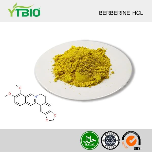 Serbuk Berberine Hcl