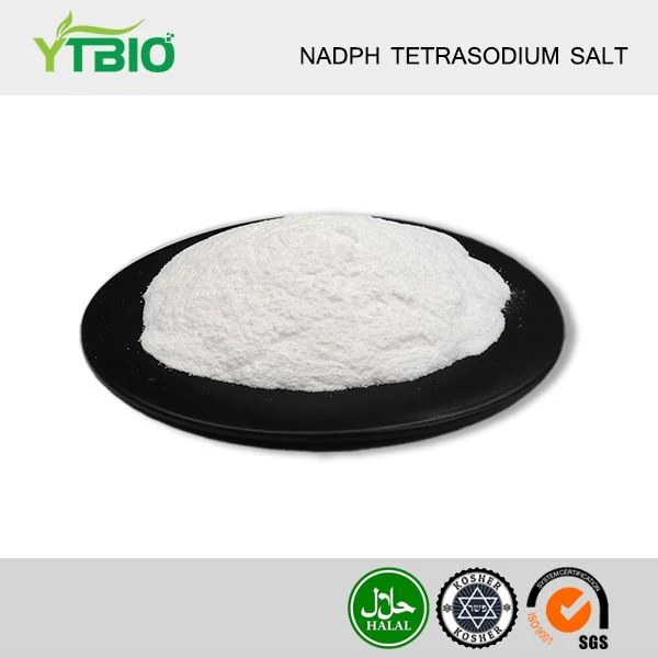 Garam Tetrasodium Berkurang Beta-Nicotinamide Adenine Dinucleotide Phosphate