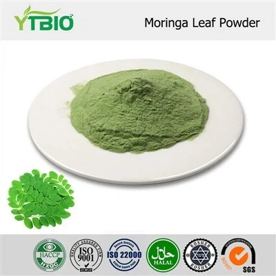Serbuk Ekstrak Daun Moringa