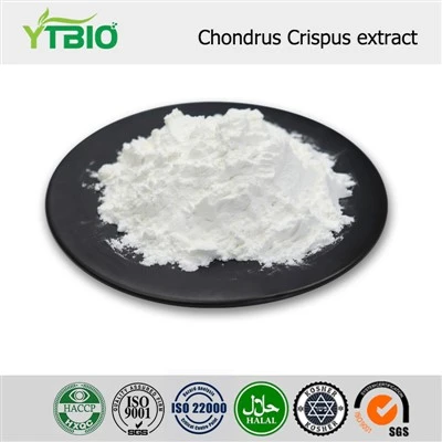Ekstrak Chondrus Crispus