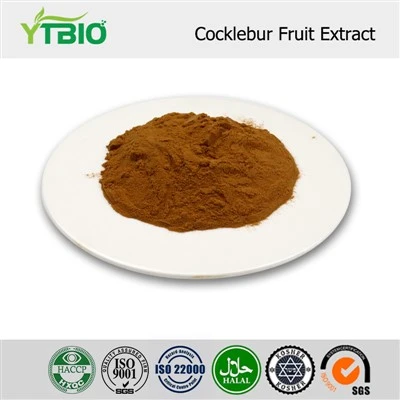 Ekstrak Buah Cocklebur