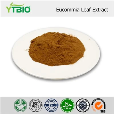 Ekstrak Daun Eucommia