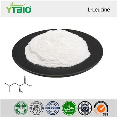 Serbuk L-Leucine