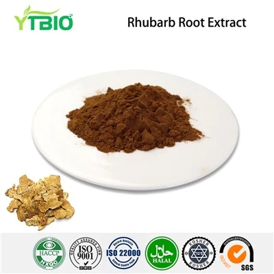 Ekstrak Akar Rhubarb