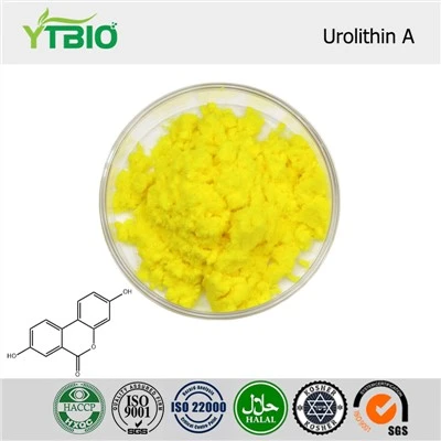 Serbuk Urolithin A