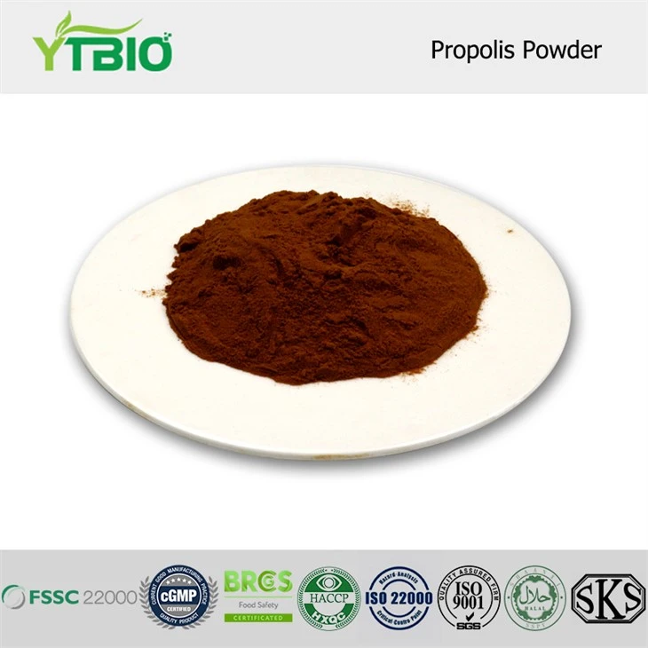 Serbuk Propolis