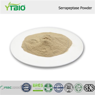 Serrapeptase Serbuk